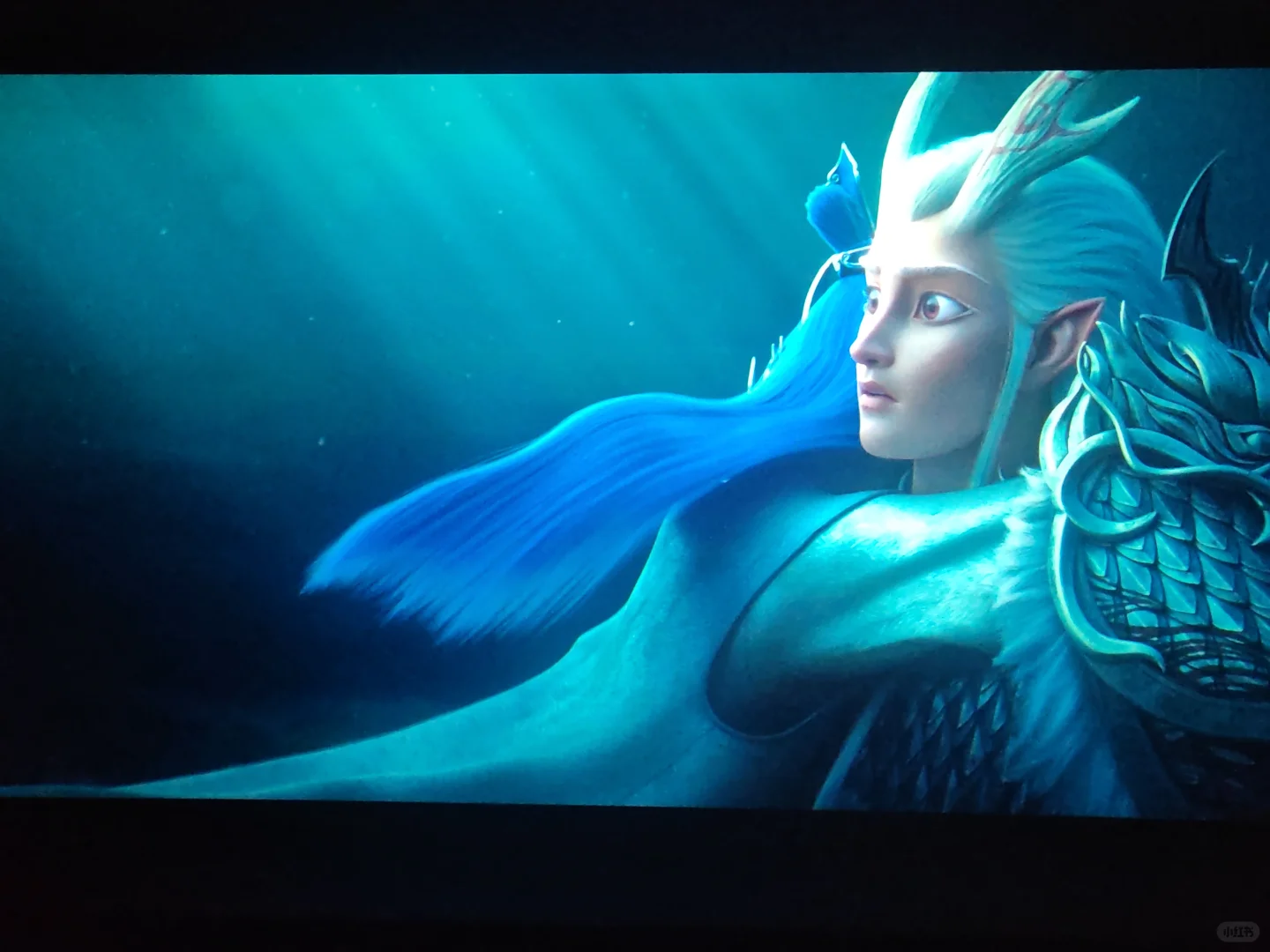 真的太好看了！🔥🔥🔥