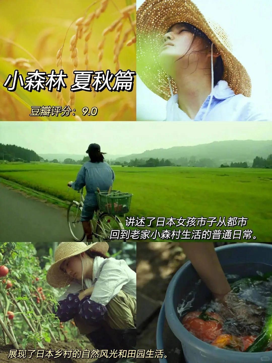 infp必看‼️感谢这十部电影治愈我的精神内耗