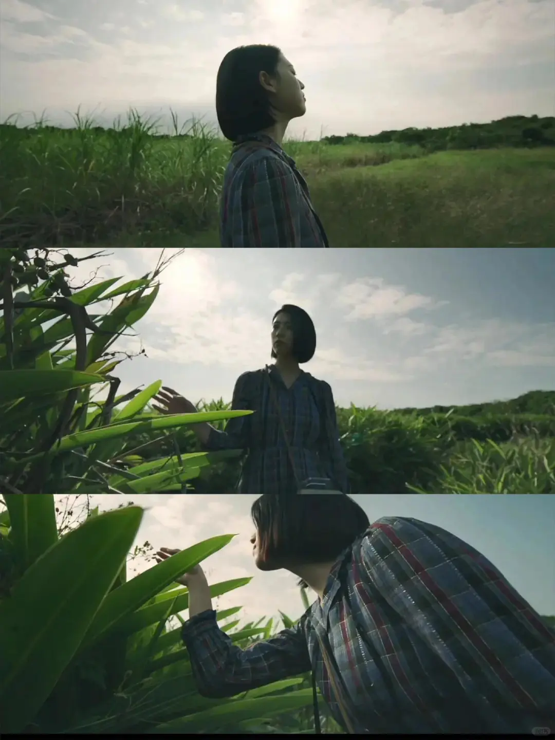 我嘞个豆‼️我们内地突然吃这么好的吗⁉️