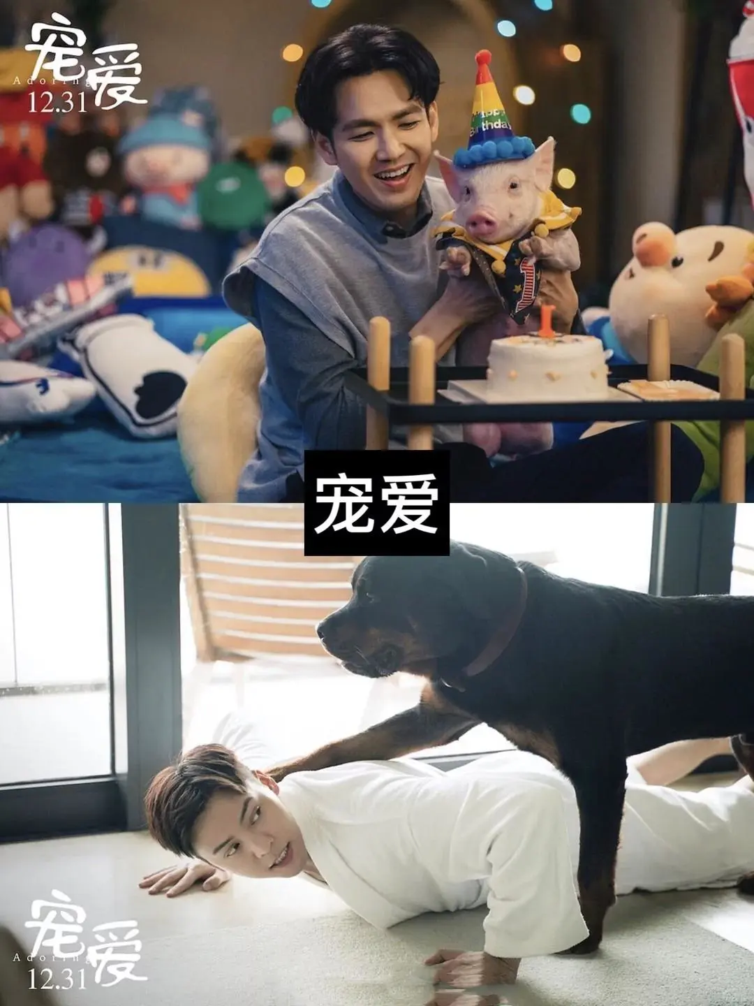 11部笑出腹肌搞笑电影推荐。你看过八部算我