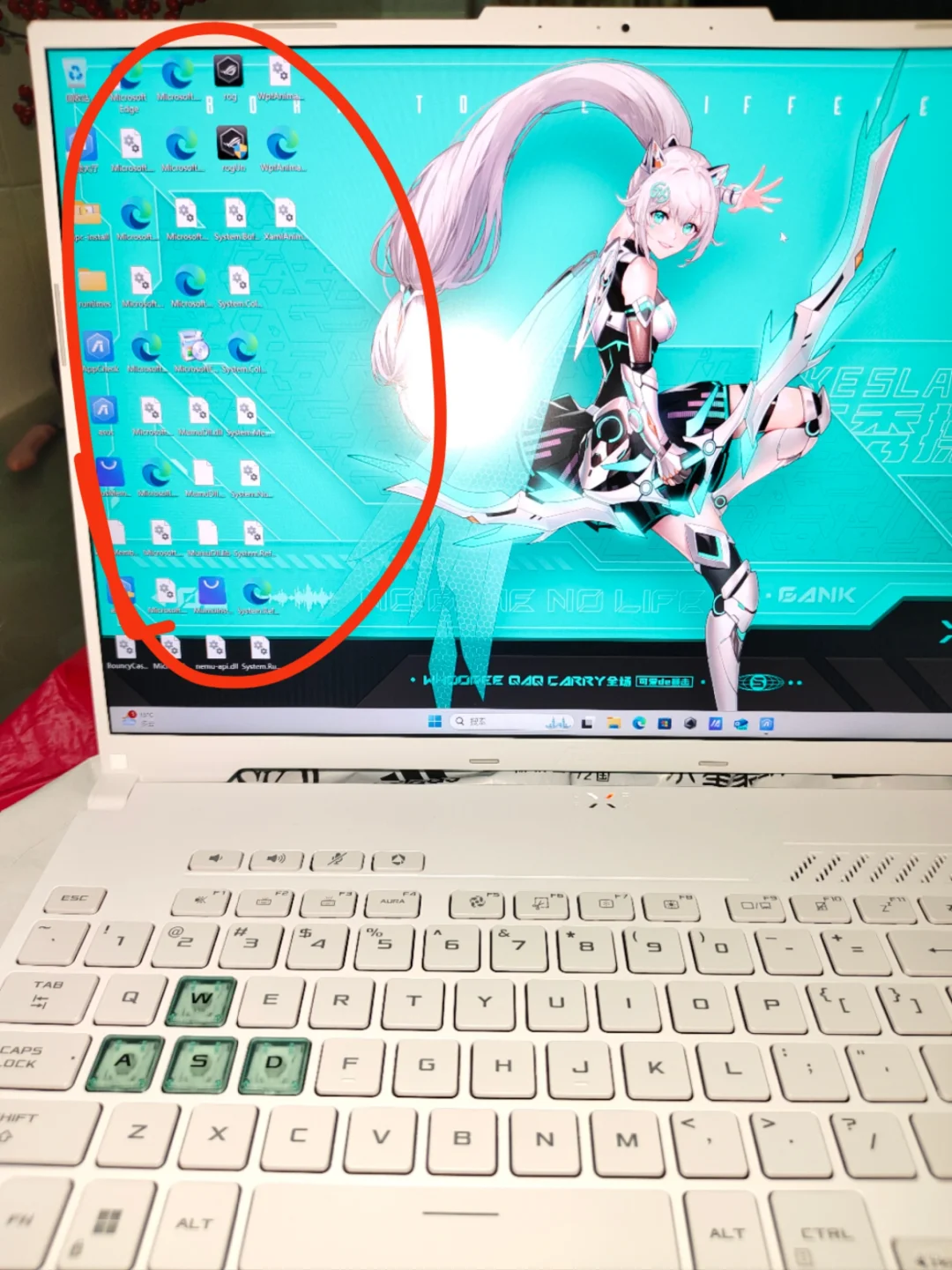 求助懂电脑的哥哥姐姐们