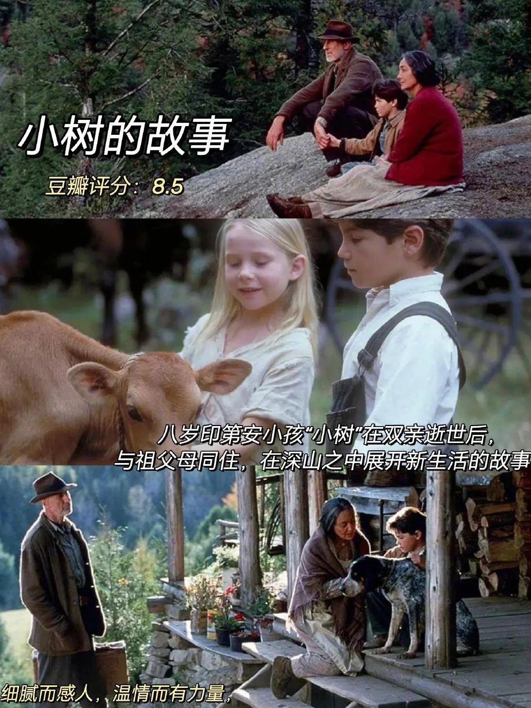 infp必看‼️感谢这十部电影治愈我的精神内耗