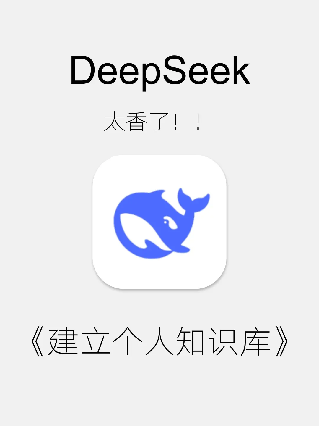 教会你使用DeepSeek V3建立个人知识库