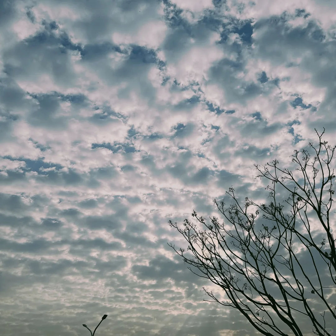 新 App 上架啦🎉