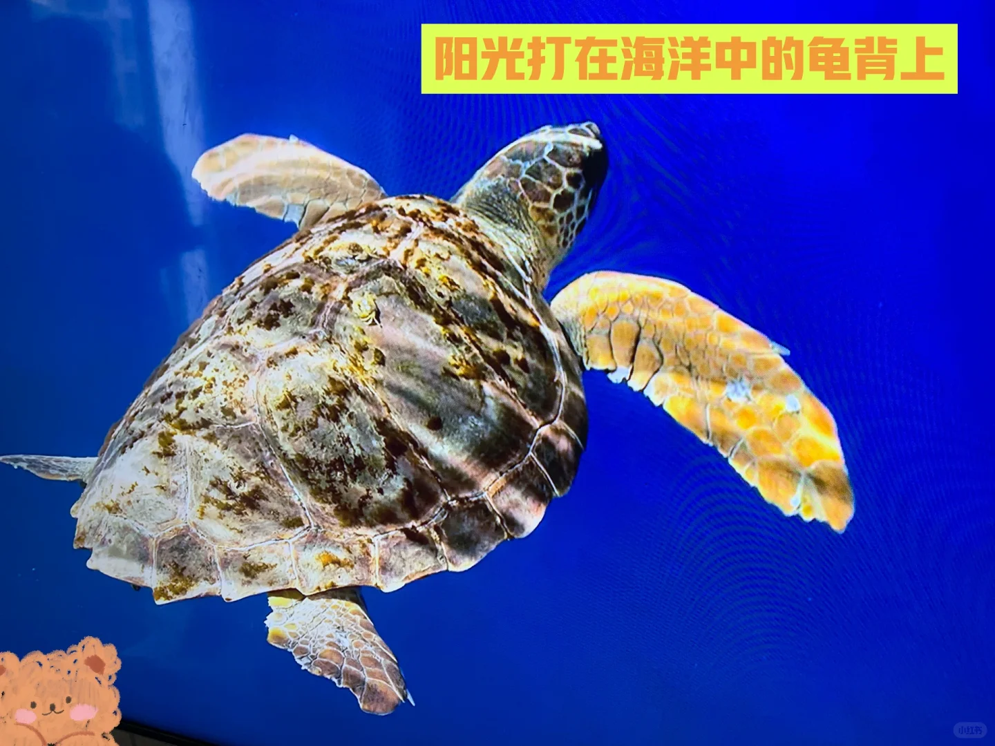 腾讯极光盒子（好物38/100）