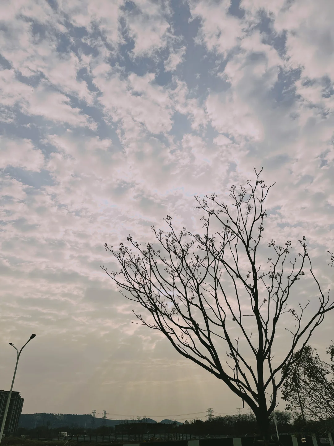 新 App 上架啦🎉