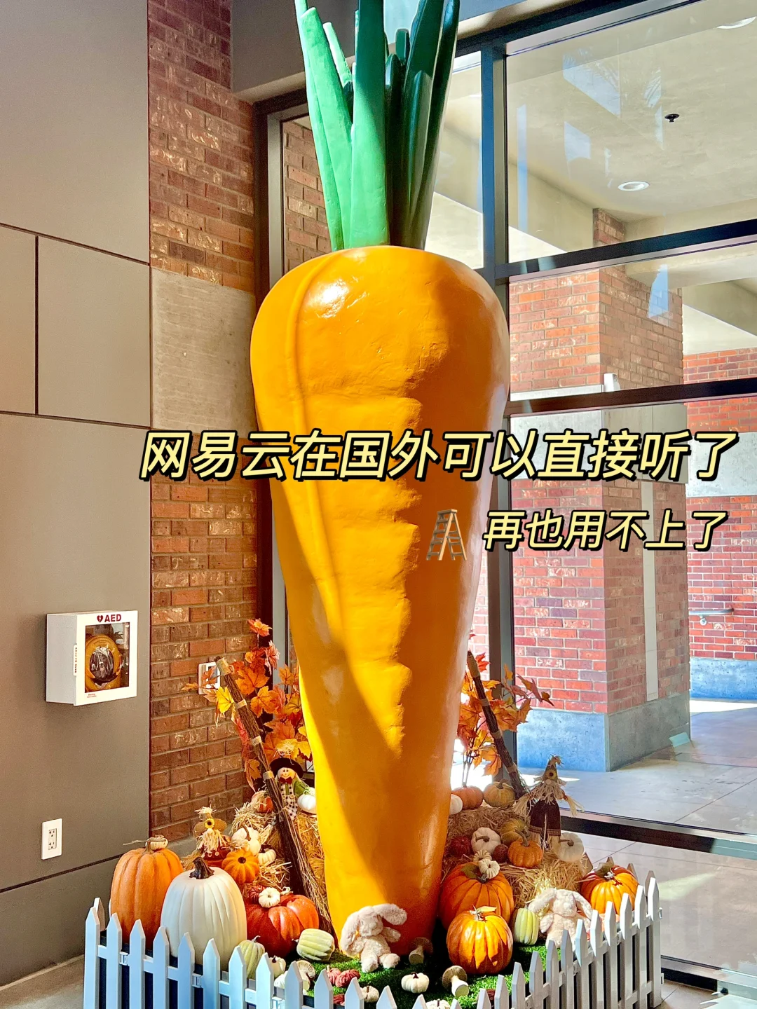 绝了！！用这个办法在海外畅听网易云！