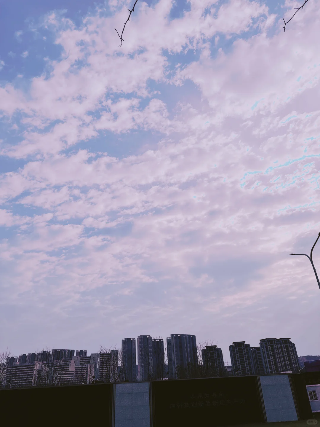 新 App 上架啦🎉