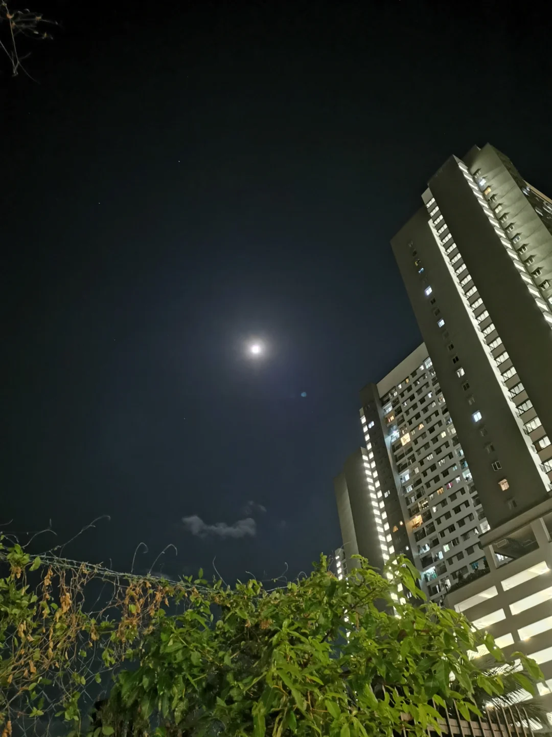 华为真的不适合音乐生