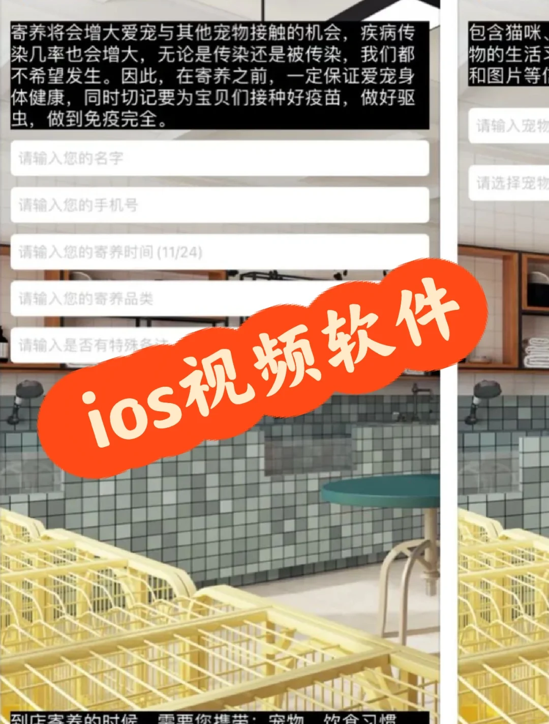 ios最新追剧软件，苹果app～