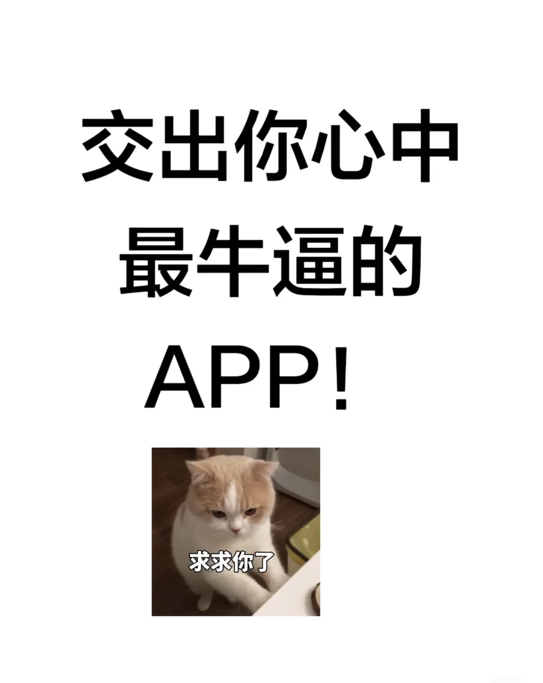 不舍得删除的app