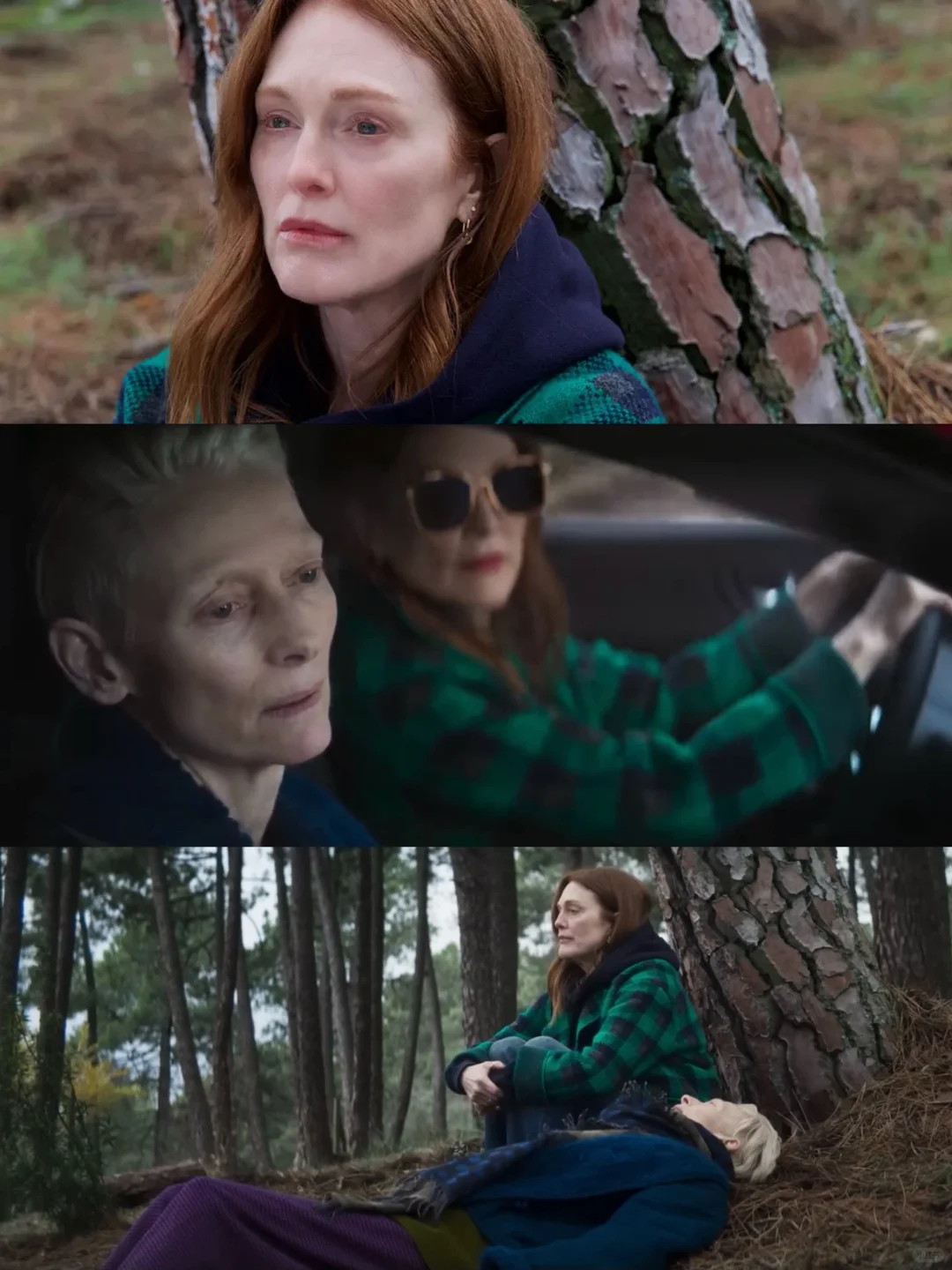 年度蕞佳❗️所有人全都去看‼️看完后劲好大😭