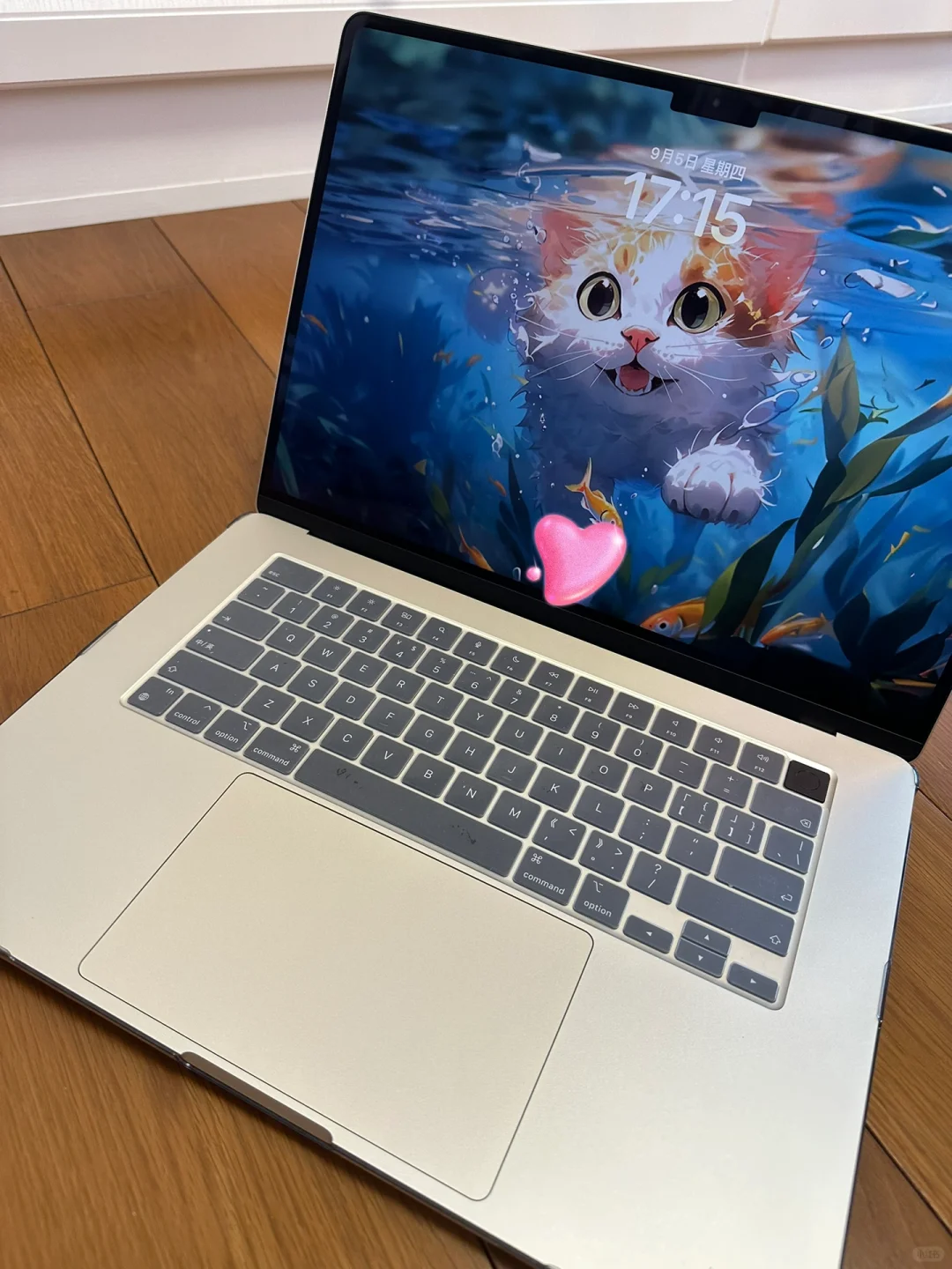 MacBook 免费的Adobe软件