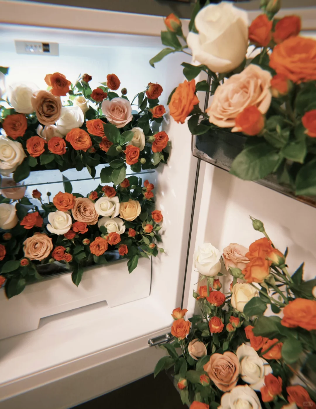 2块多拥有了dazz会员好快乐呀！