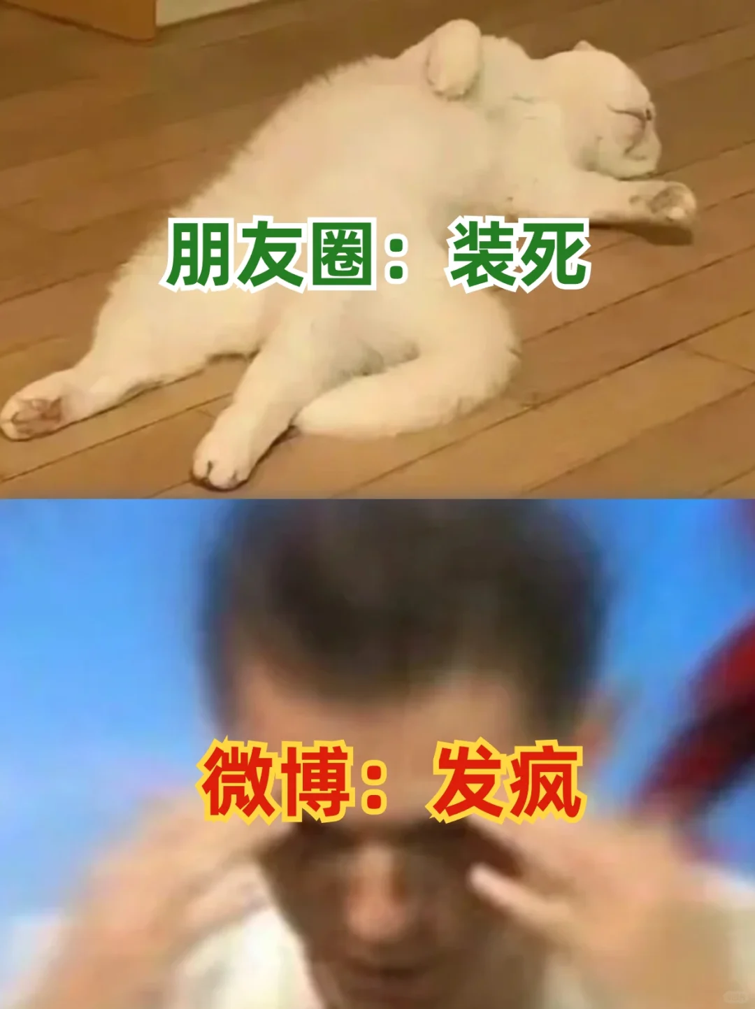 当代年轻人APP使用现状，是谁我不说