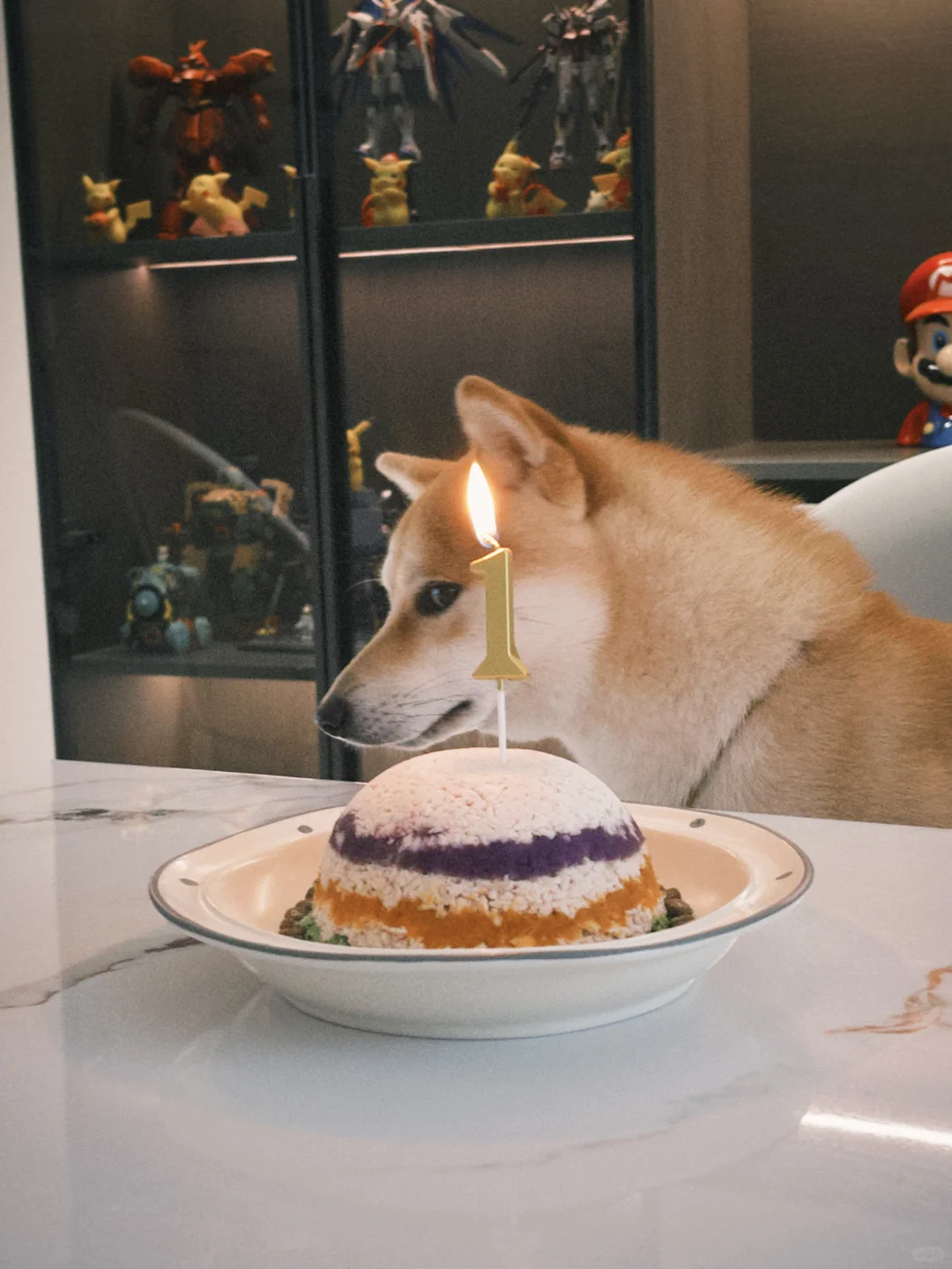 2块多拥有了dazz会员好快乐呀！