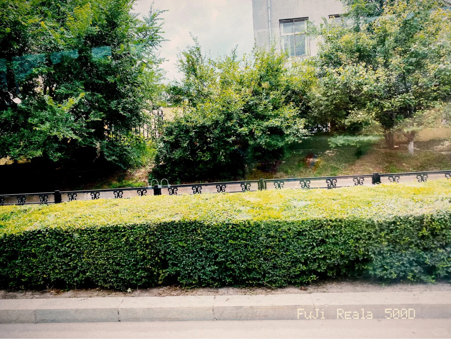 安卓也能下载的胶片🎞️APP！墙裂推荐！