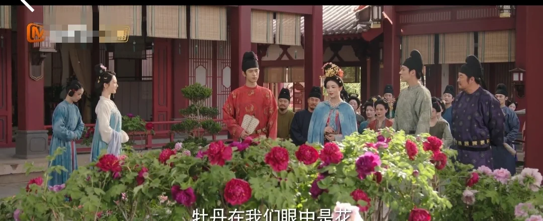 免费追剧App❗❗苹果安卓都可🎀