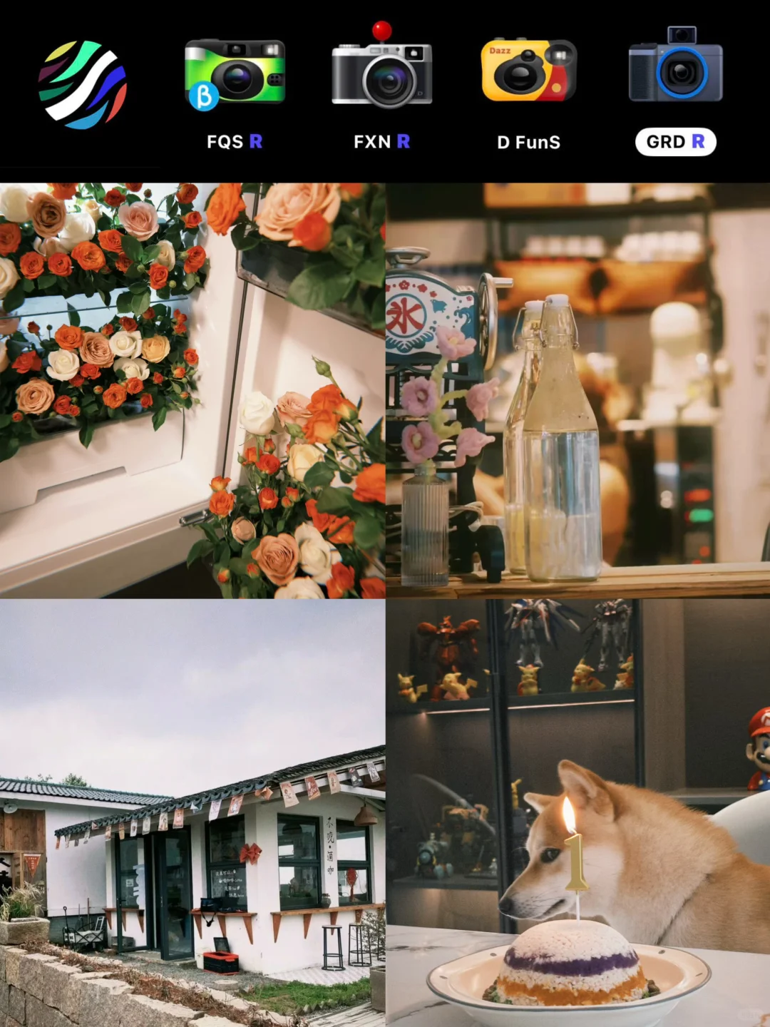 2块多拥有了dazz会员好快乐呀！