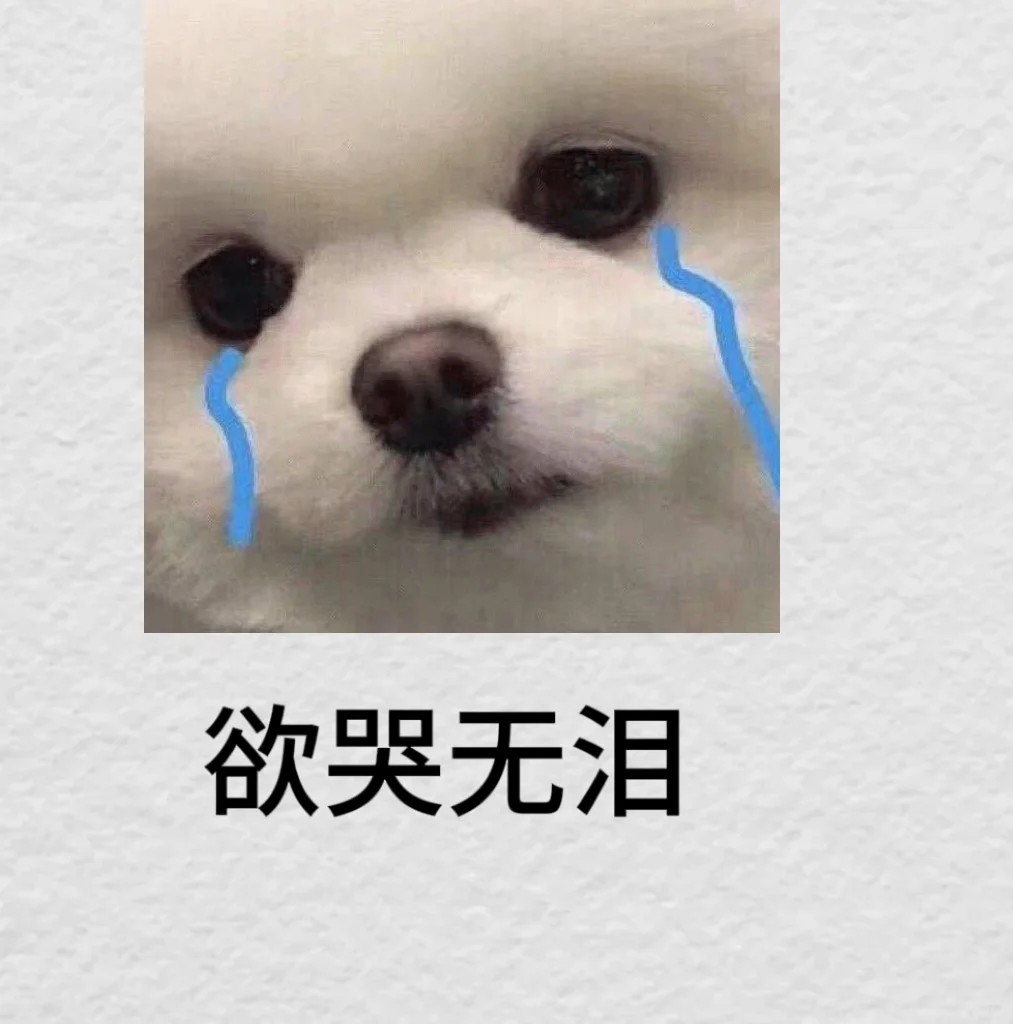 2025.1.20 TV box 更新！