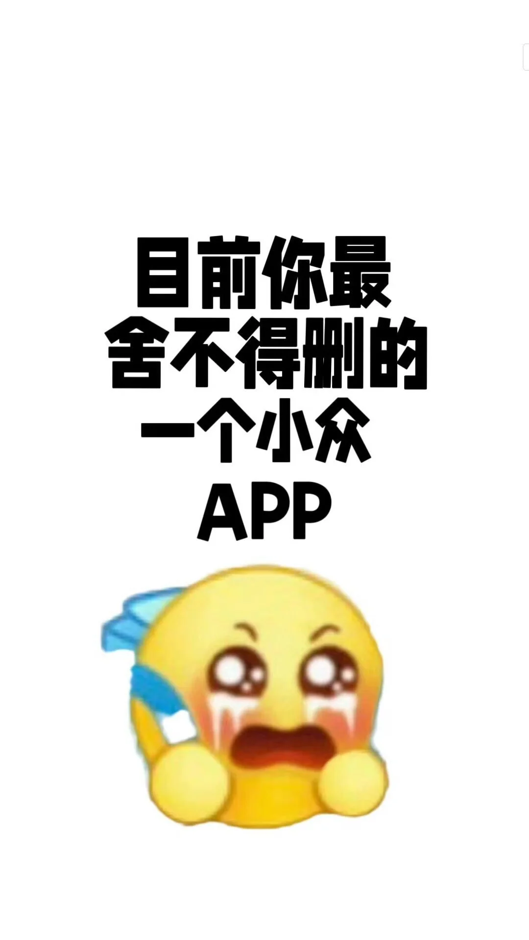 一人一个不舍得删的小众APP