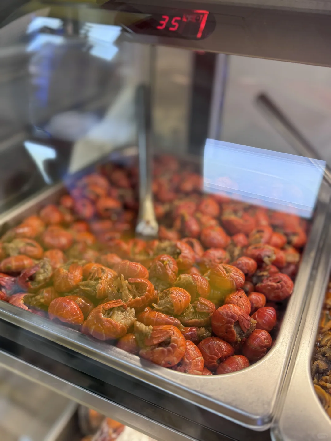 法拉盛📍无限回购的卤味鸭货🔥新品试吃👍