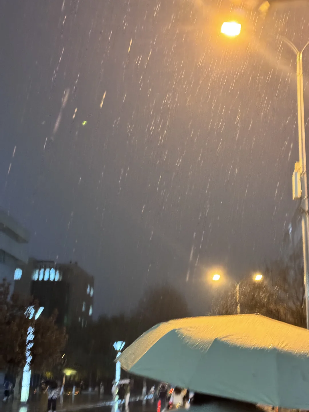 把我的作品浏览量还给我