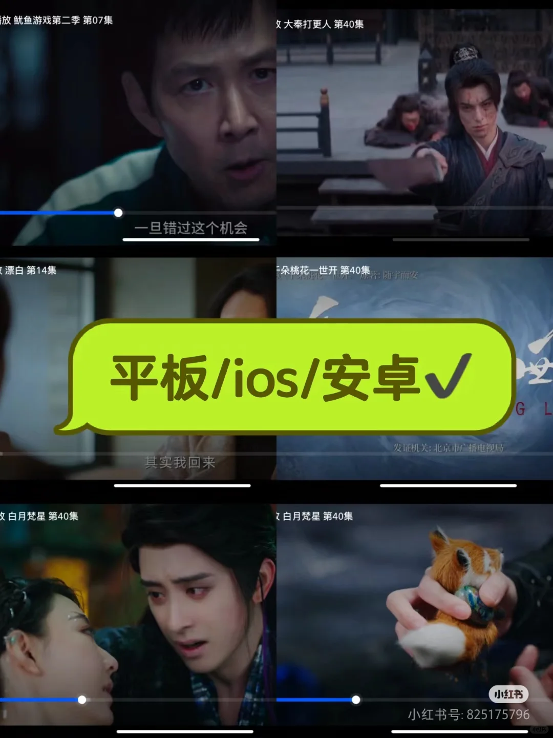 ios安卓jpad免费追剧APP~假期不无聊