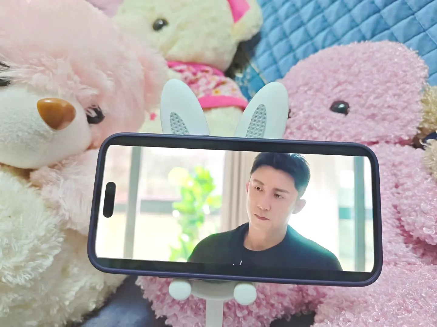 免费软件刷遍剧，何必花钱冲会员