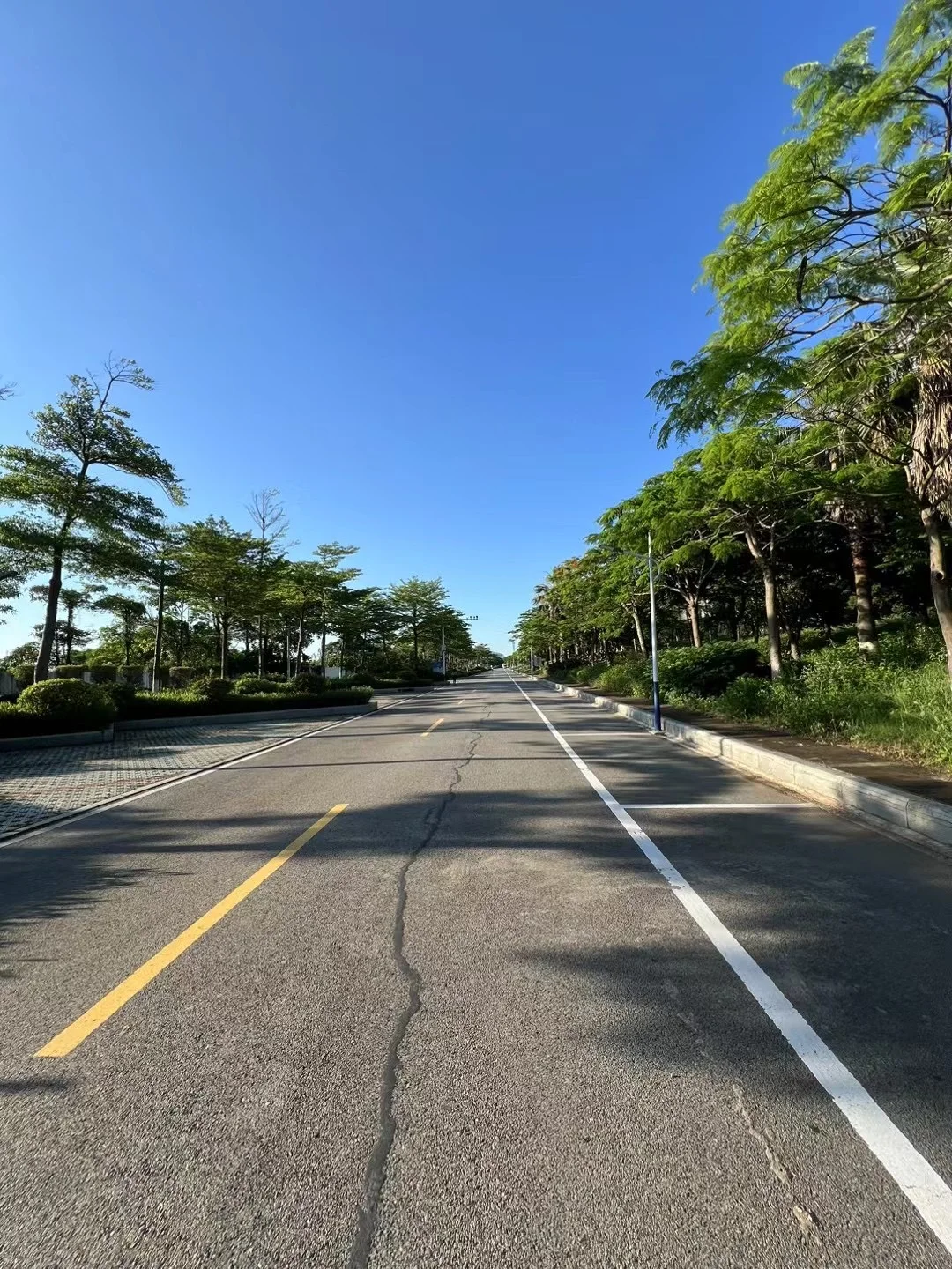 唯阳光与跑道不可辜负