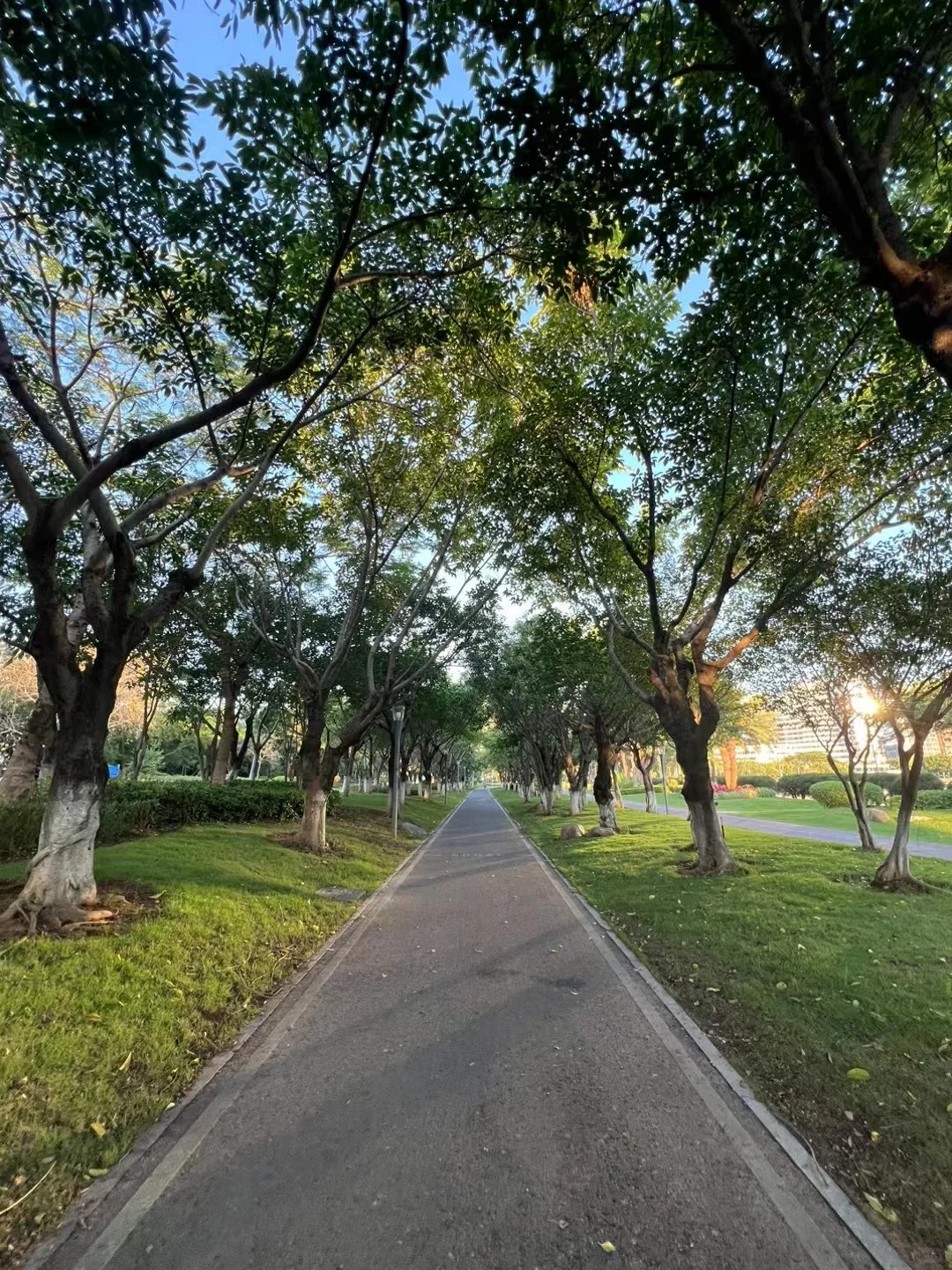 唯阳光与跑道不可辜负