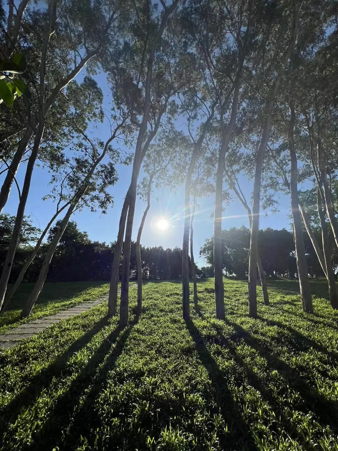 唯阳光与跑道不可辜负