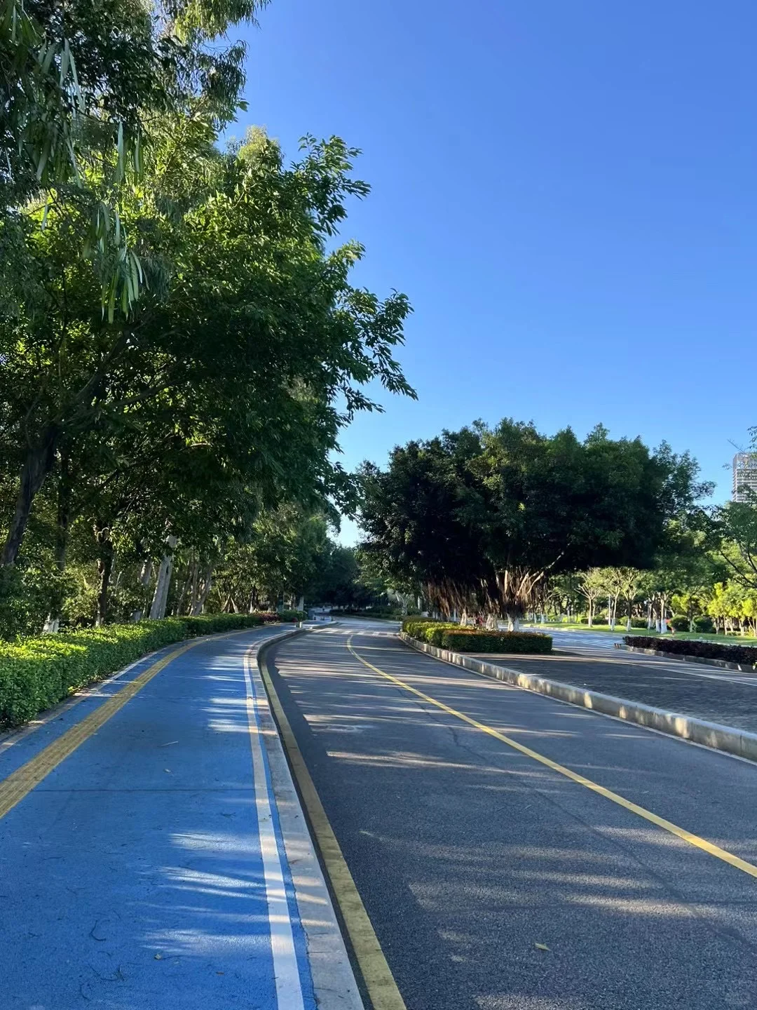 唯阳光与跑道不可辜负