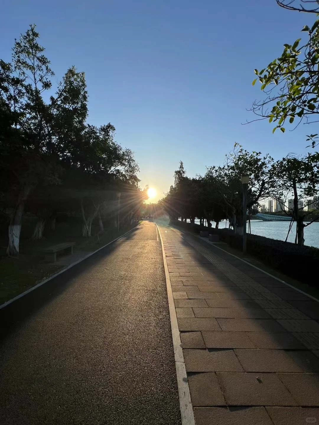 唯阳光与跑道不可辜负