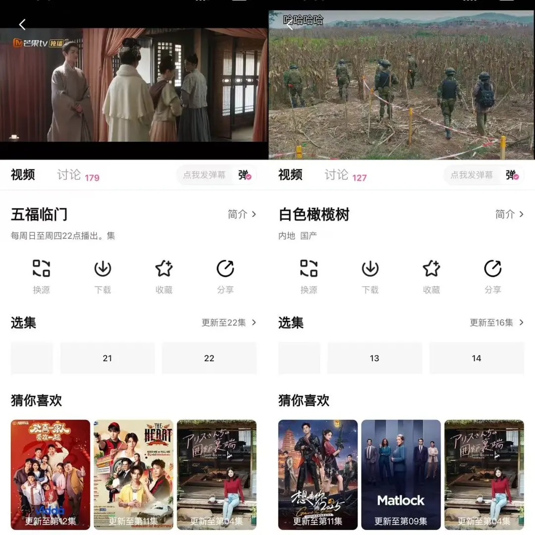 免费追剧是真香🎉🎉一追一个不吱声