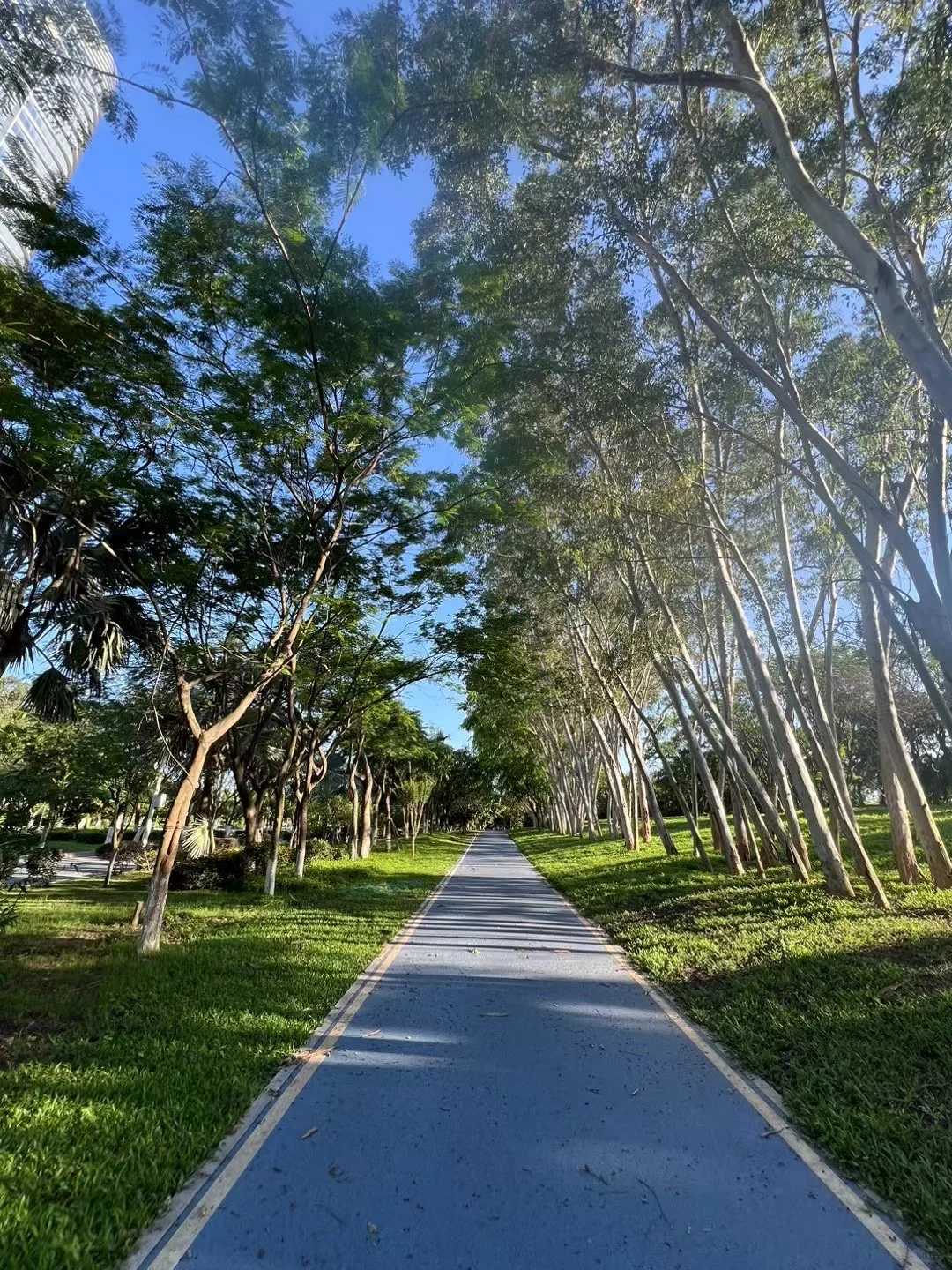 唯阳光与跑道不可辜负