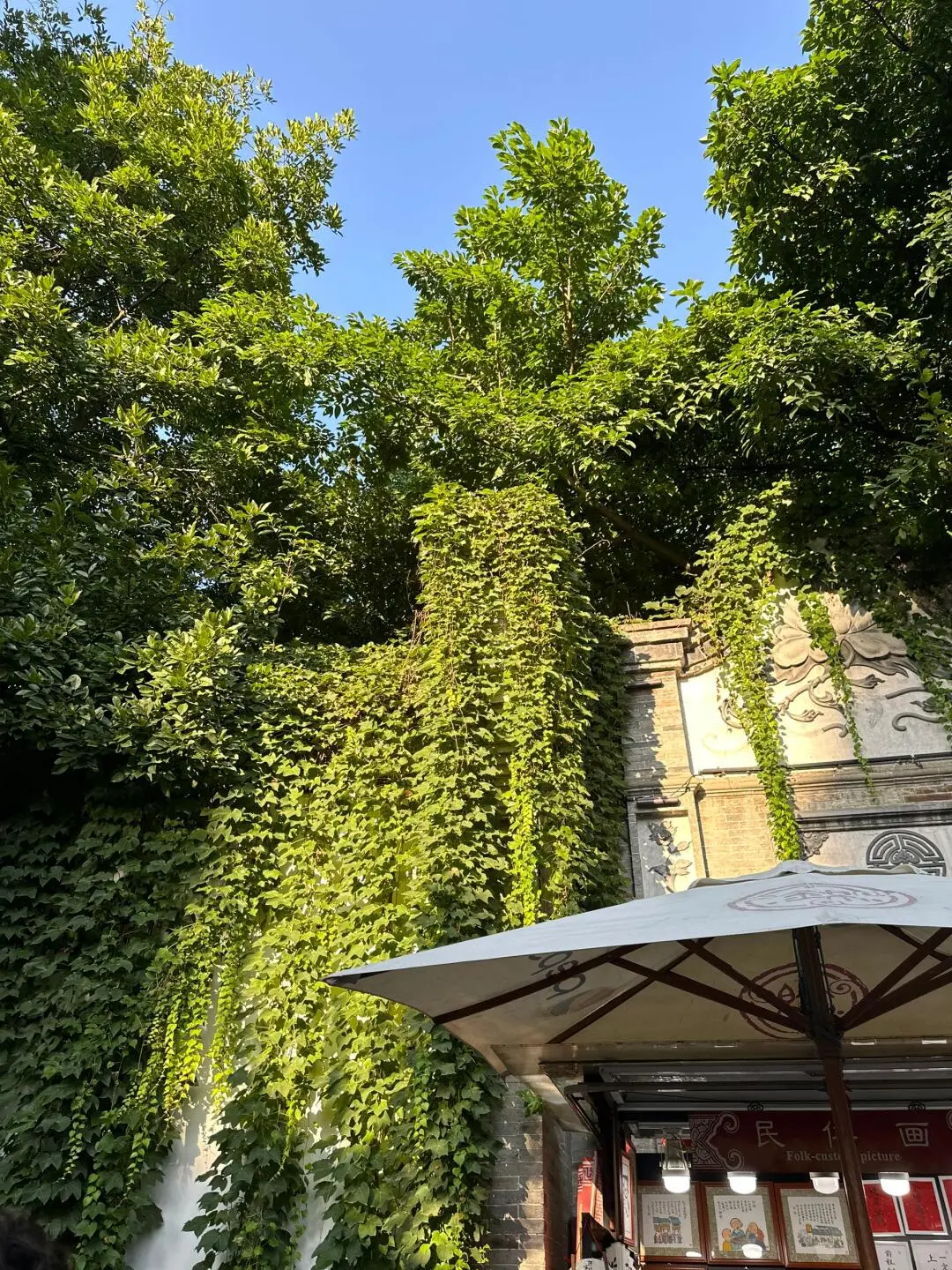 去了成都五次👂2-3月去成都的姐妹请🐴住