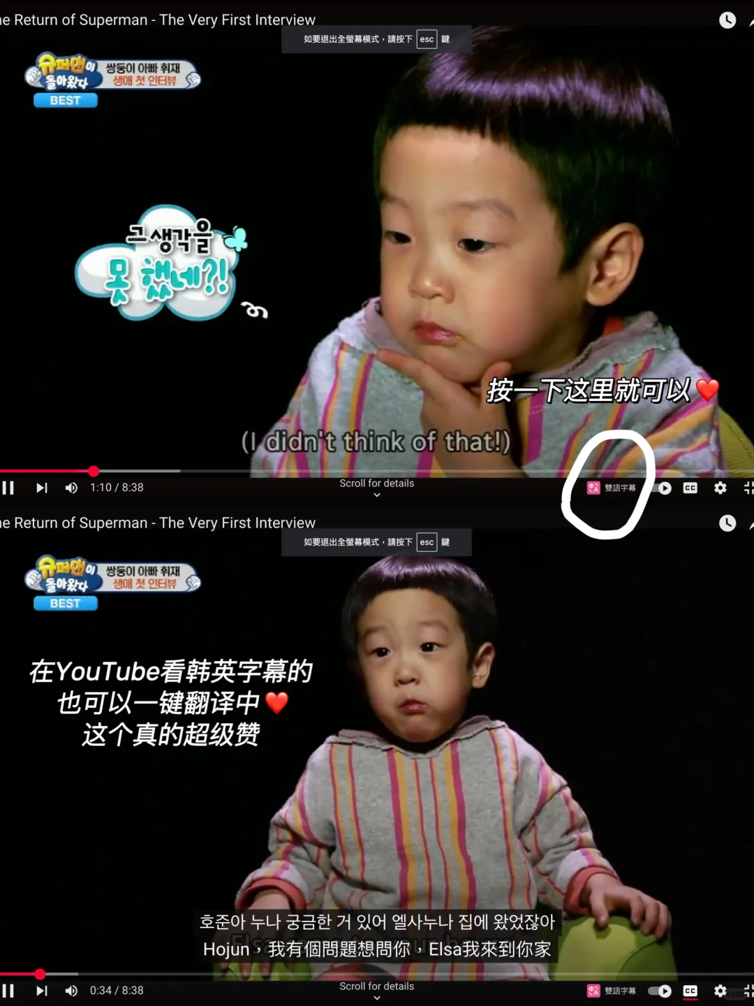 APP推荐｜沉浸式翻译 无障碍轻松阅读外文