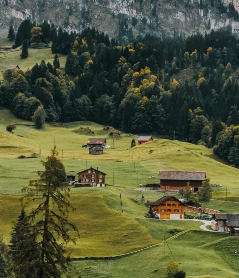 有无好用的艾宾浩斯app