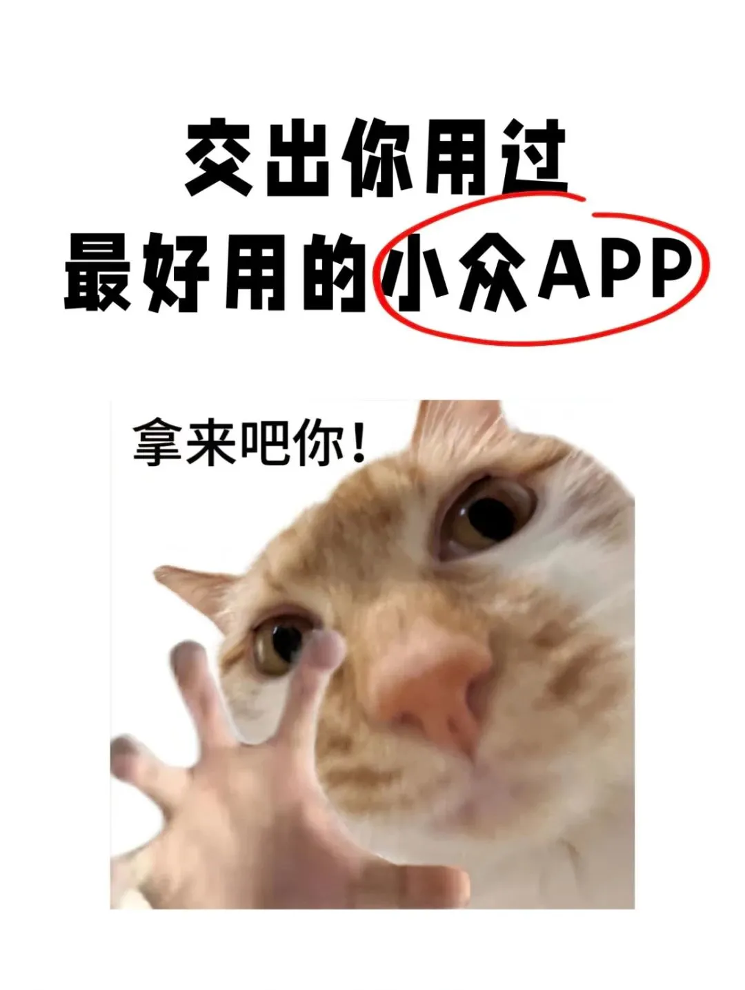 有哪些好用又小众的app啊🙏🏻