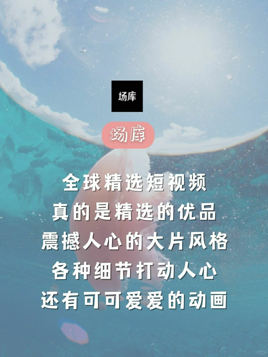 仙女手机必备的8款app🧚超级好用🐵