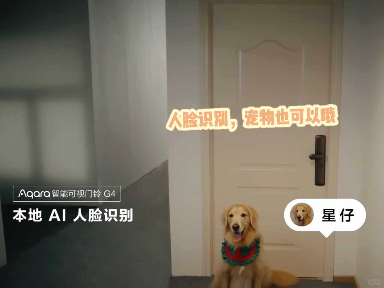 绿米G4可视门铃实测