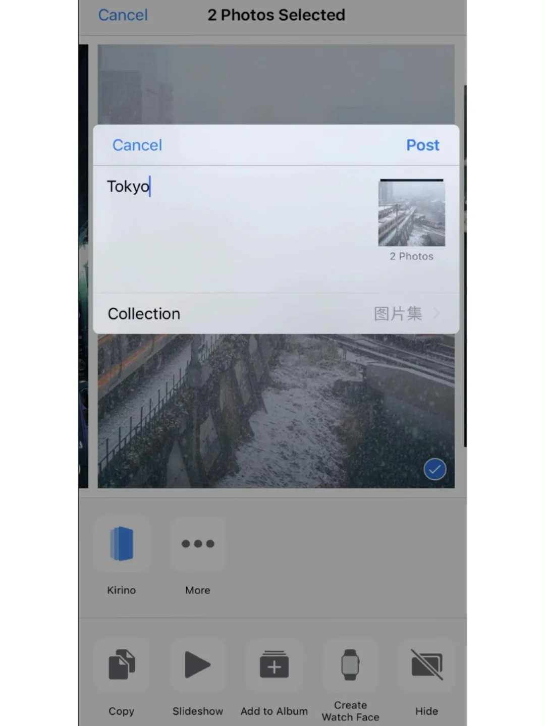 极小众！收集&记录 ｜ Kirino