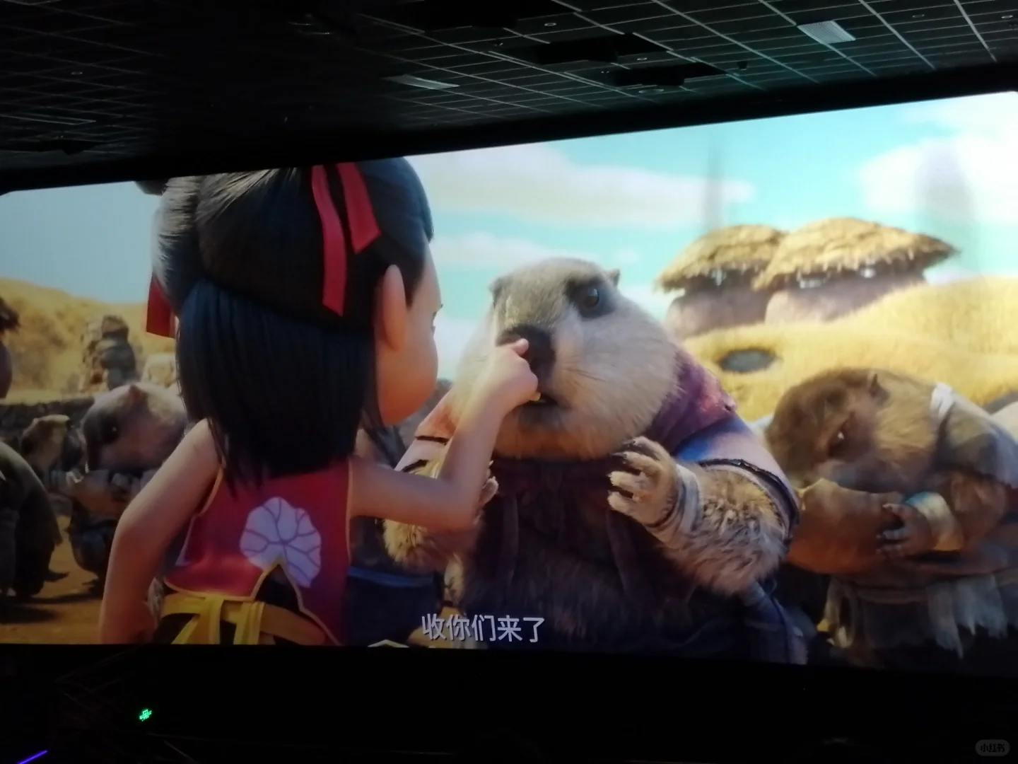 过年推荐几部电影，希望你喜欢