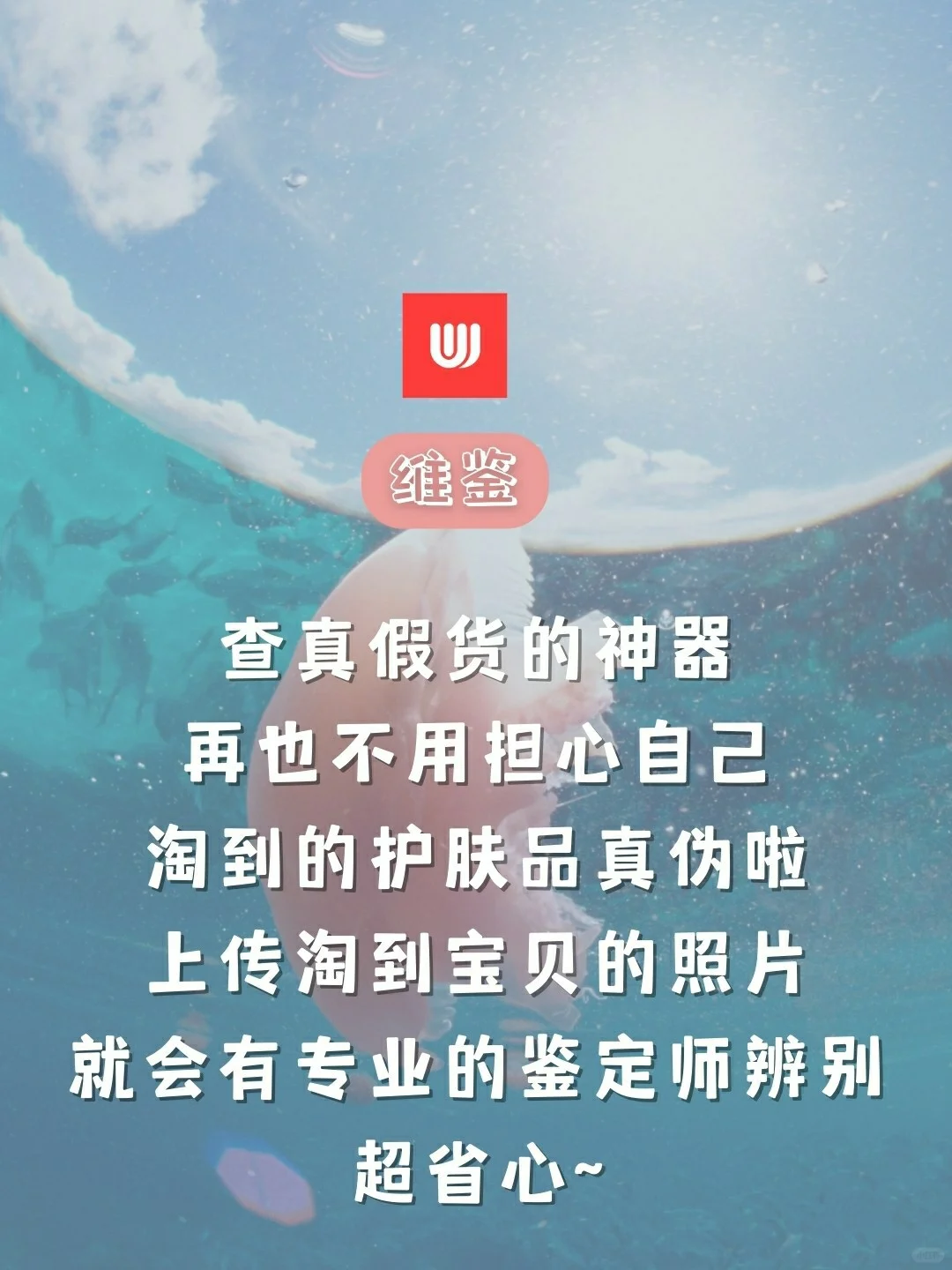 仙女手机必备的8款app🧚超级好用🐵