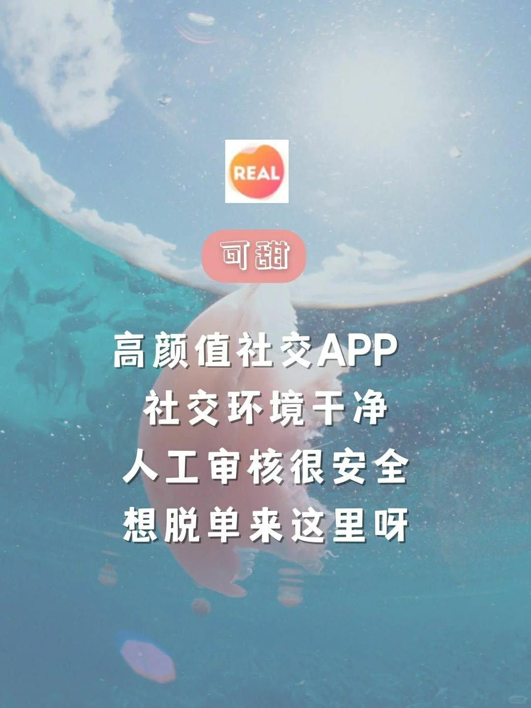 仙女手机必备的8款app🧚超级好用🐵