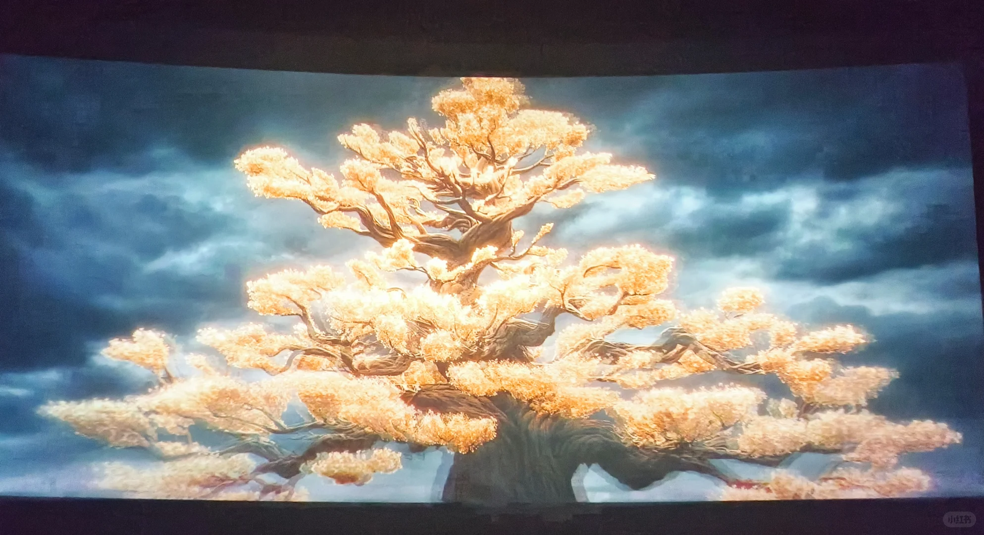 超级震撼!看哭了!