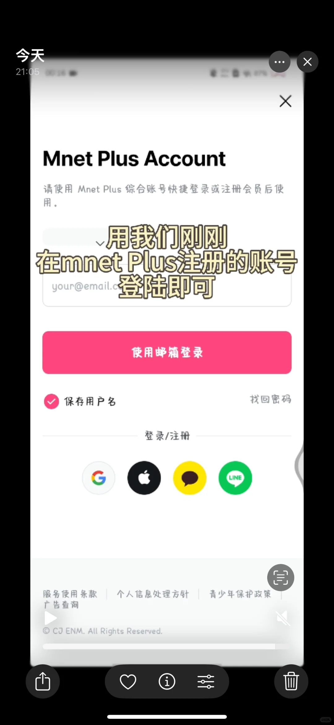 vivo已下plus chat