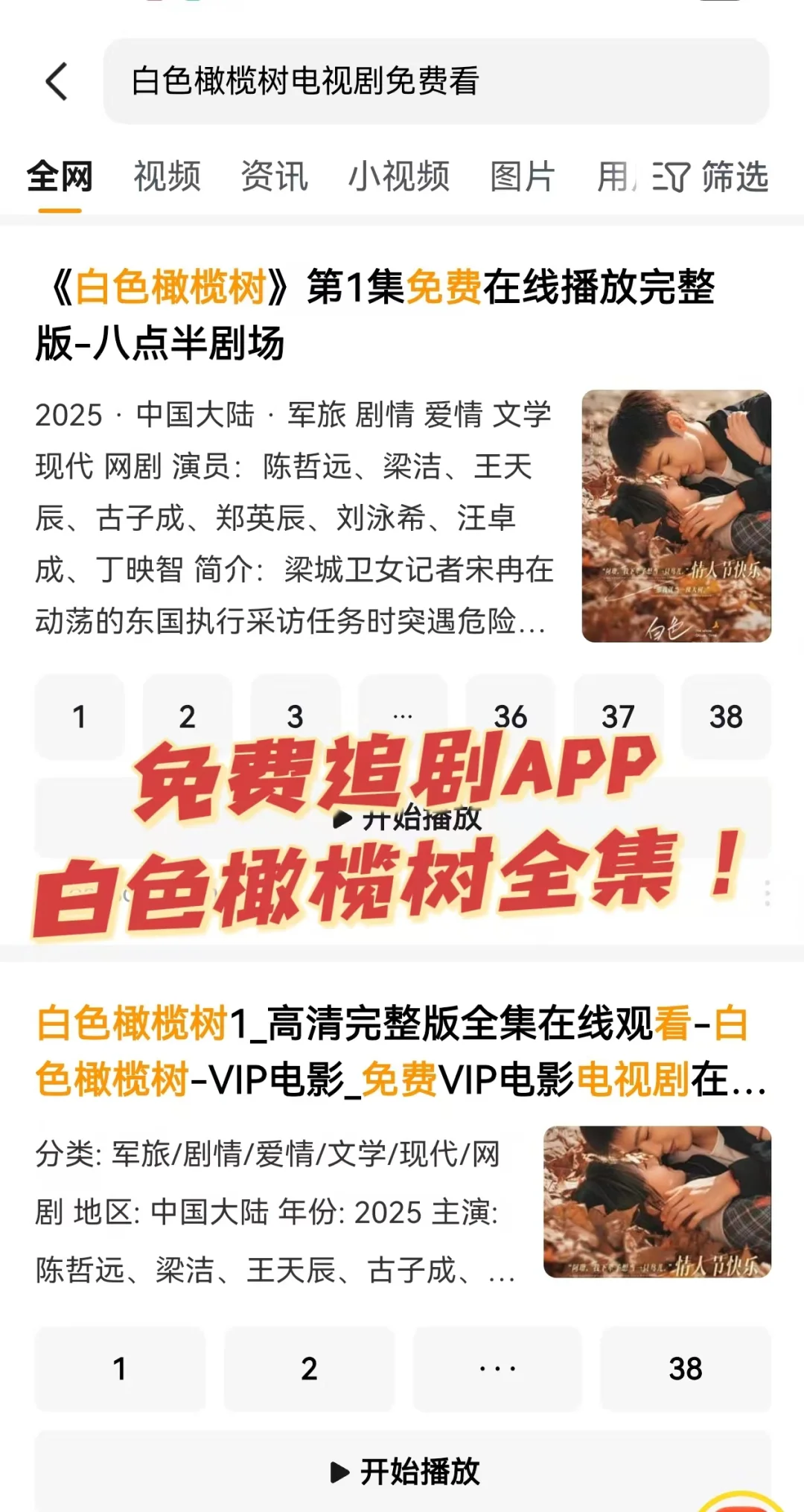 《白色橄榄树》免费看全集啦！！