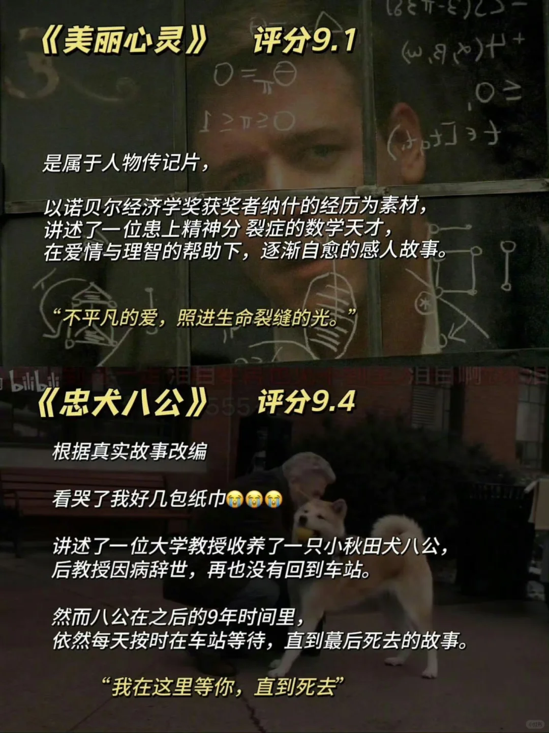 适合周末看的16部电影🎬停止摆烂